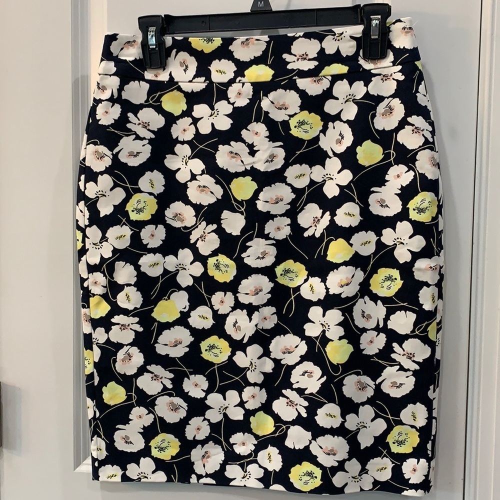 Ann Taylor skirt women’s size 2